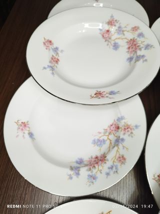 ANTIGUA VAJILLA FRANCESA