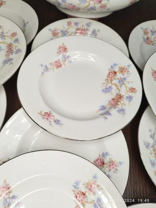 ANTIGUA VAJILLA FRANCESA