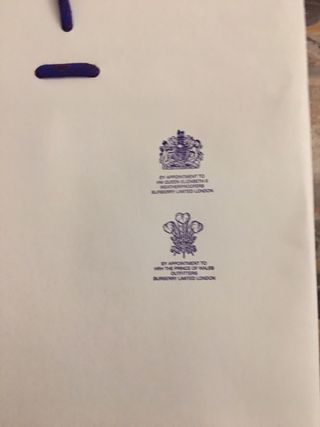 Busta Burberry originale