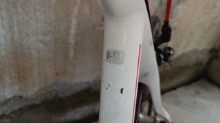 Orbea orca talla 55