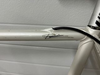 Vendo estupenda Pinarello clasica talla -54 L
