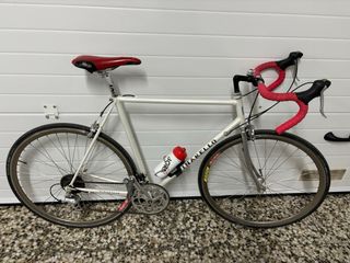 Vendo estupenda Pinarello clasica talla -54 L