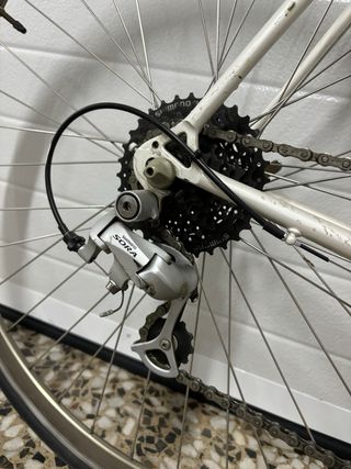 Vendo estupenda Pinarello clasica talla -54 L