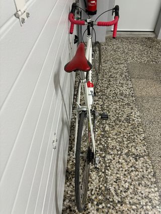 Vendo estupenda Pinarello clasica talla -54 L
