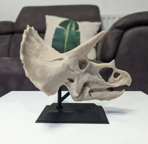 Réplica de cráneo de Triceratops - Impresión 3D en