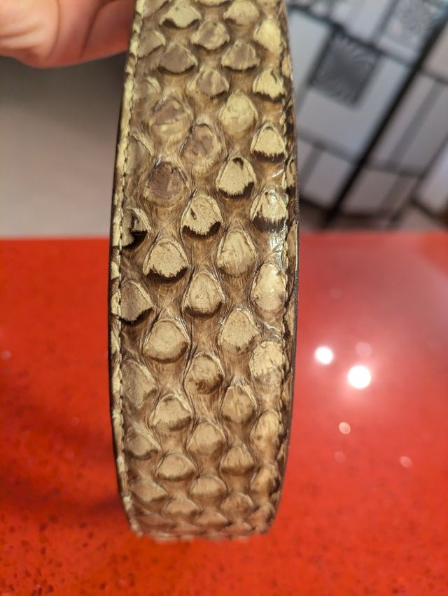 Cintura vero pitone Pinotti forte dei marmi