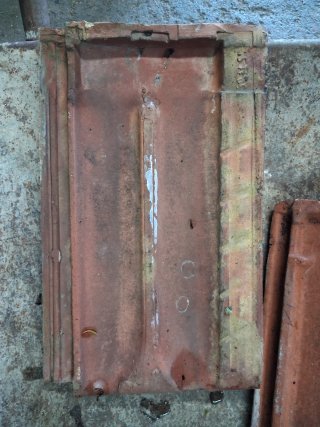 Tejas variadas