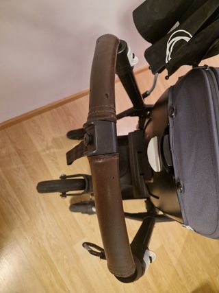 Silleta bugaboo bee 5