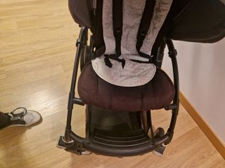 Silleta bugaboo bee 5