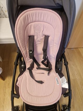 Silleta bugaboo bee 5