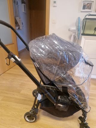 Silleta bugaboo bee 5