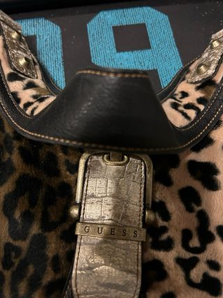 Bolso guess