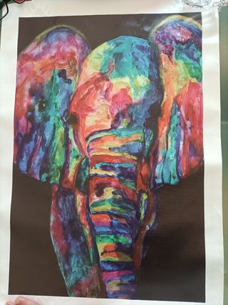 Stampa su tela elefante 