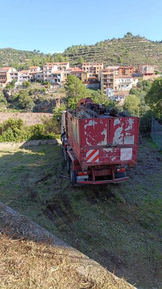Recollida restes poda i jardineria