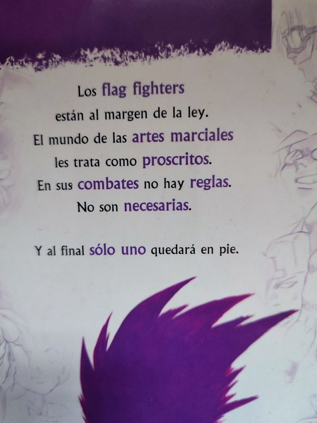 Flag fighters, manga completo de Masaomi kanzaki 