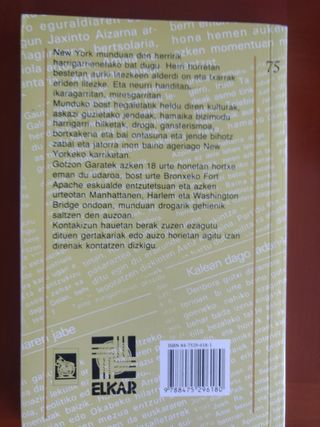 New York, New York (Literatura) (Basque Edition)