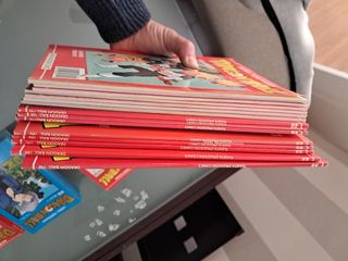 DRAGON BALL serie roja