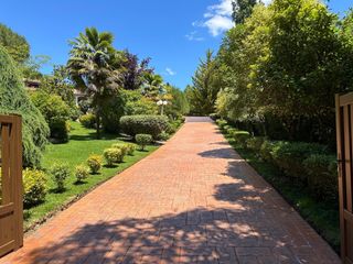 Cemento impreso pulido 