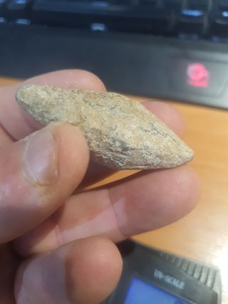 Bala honda romana balear