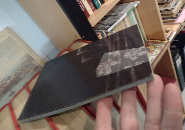 Batman o Asilo Arkham uma séria casa num sério mun