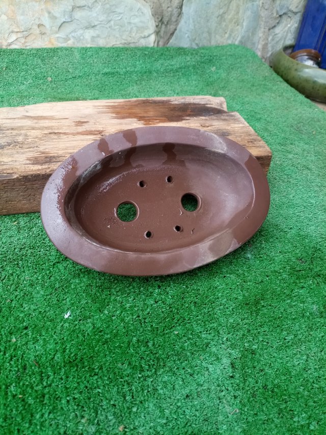 Maceta calidad bonsáis