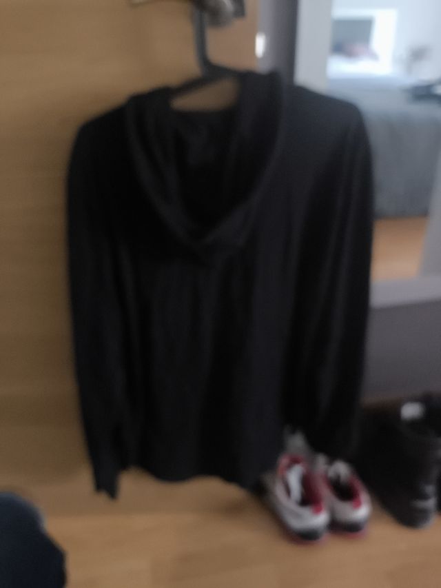 Camiseta manga larga capucha HOLLISTER