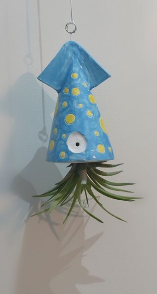 Vaso ceramica tillandsia