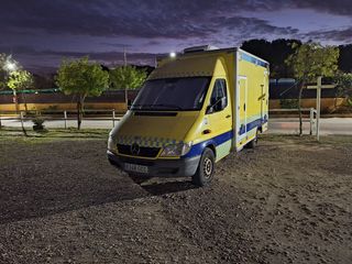 Mercedes-Benz 313 cdi 2008
