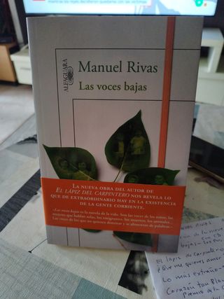 Las voces bajas (Spanish Edition)