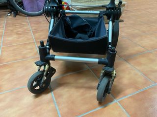 Carro bugaboo cameleon