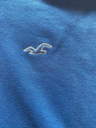 Sudadera hollister
