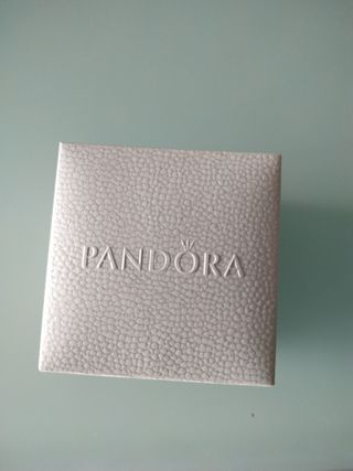 Caja charm Pandora 