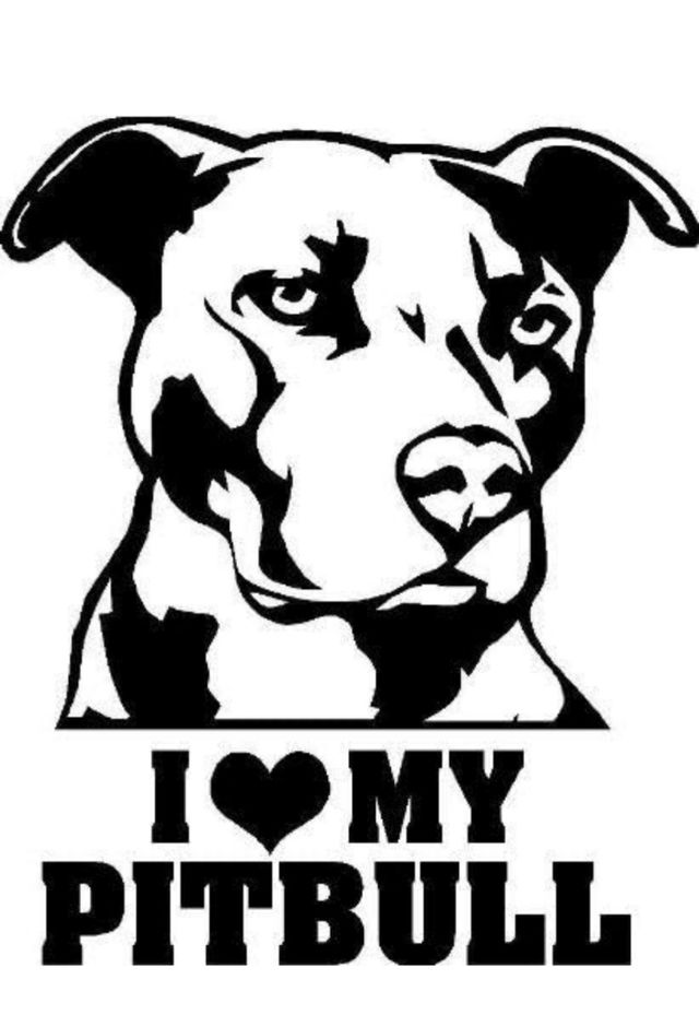 Pegatina de vinilo para coche Pitbull