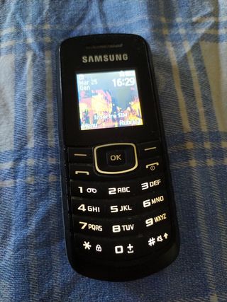 Samsung e1080