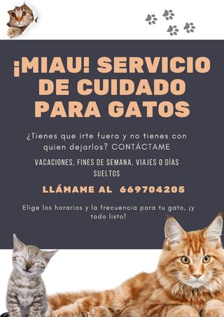Cuidadora gatos