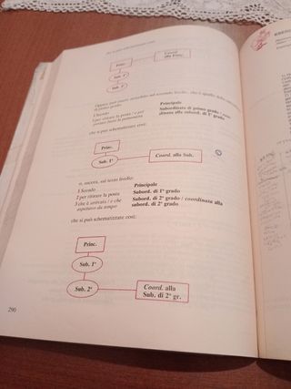 Lingua italiana, la pratica e la grammatica: Manuale di educazione linguistica (Italian Edition)