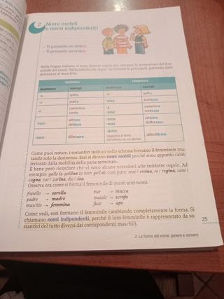 A Chiare Lettere. Modulo B: Le Classi Di Parole: Morfologia.