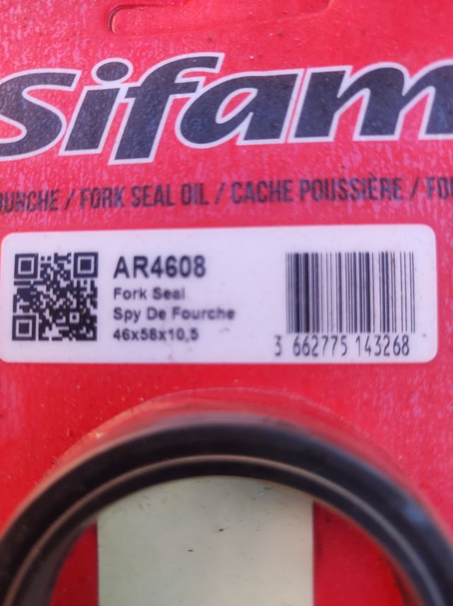 Paraoli forcella TTR 600