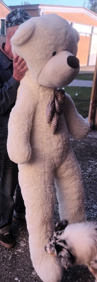 Orso gigante pelusche