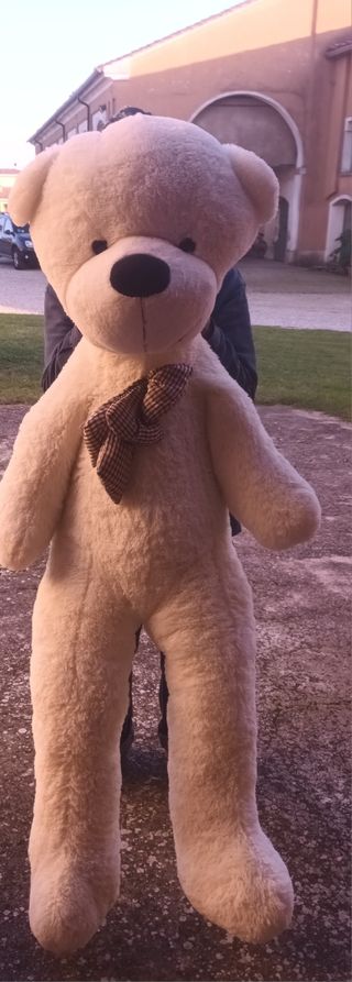 Orso gigante pelusche
