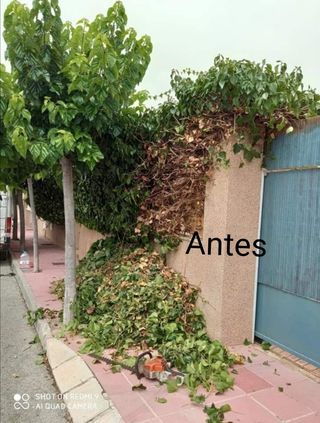 Limpieza de parcelas jardines 