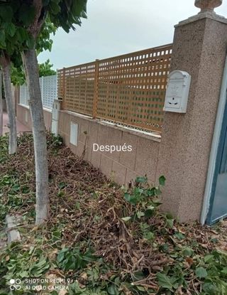 Limpieza de parcelas jardines 