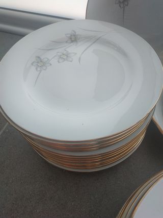 VAJILLA ROYAL CHINA VIGO 41 PIEZAS