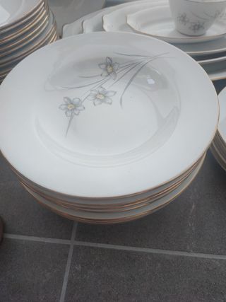 VAJILLA ROYAL CHINA VIGO 41 PIEZAS