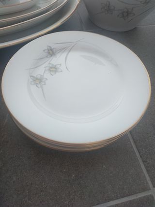VAJILLA ROYAL CHINA VIGO 41 PIEZAS