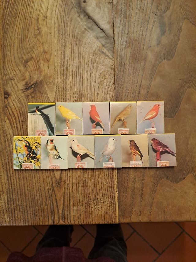 Fiammiferi da collezione