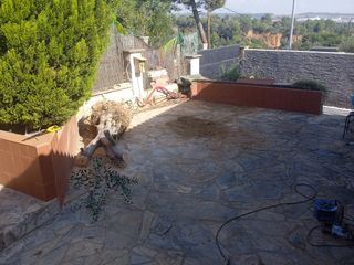 Manitas a domicilio...