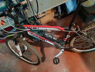 Bicicleta 