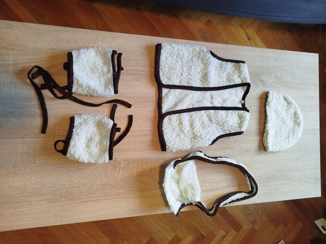 Traje infantil pastocillo o pastorcilla