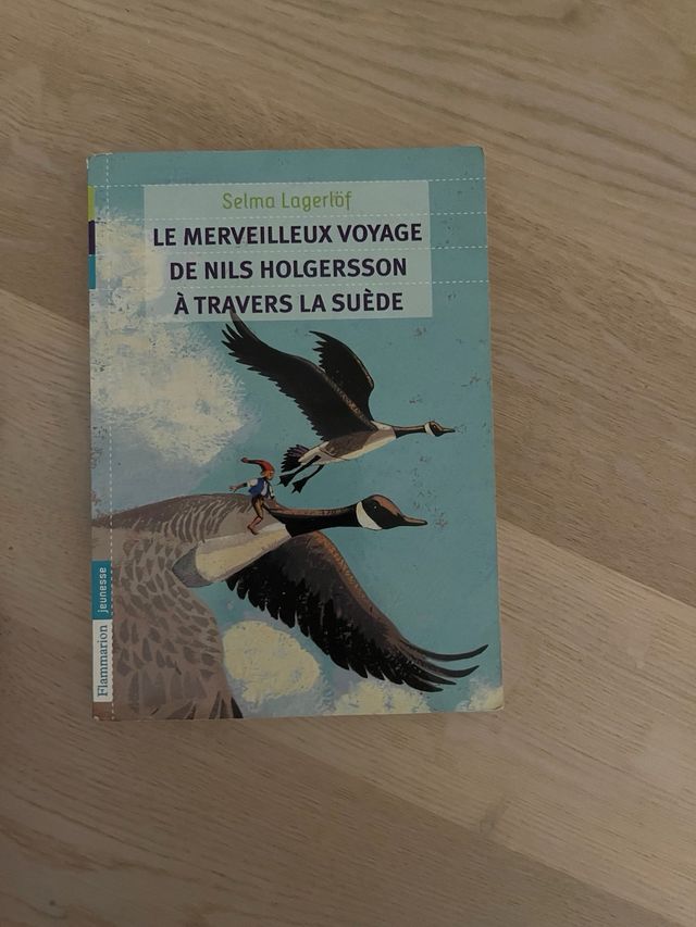 Le Merveilleux Voyage de Nils Holgersson
